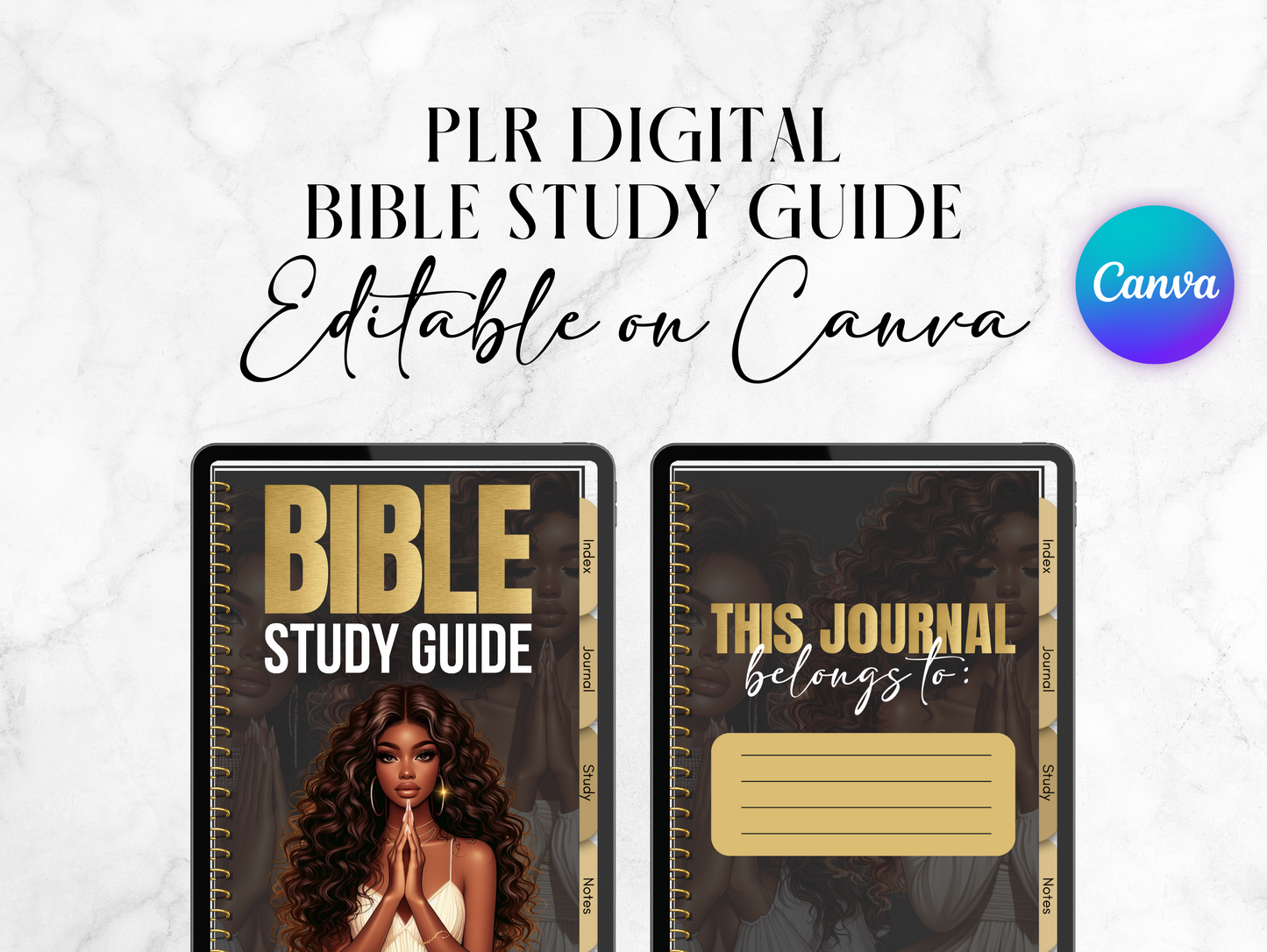 PLR Digital Bible Study Guide Journal