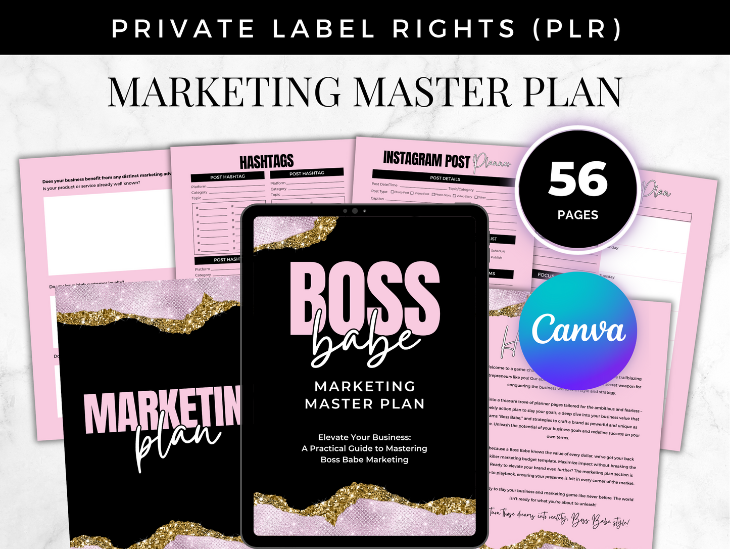 PLR Marketing Master plan ebook
