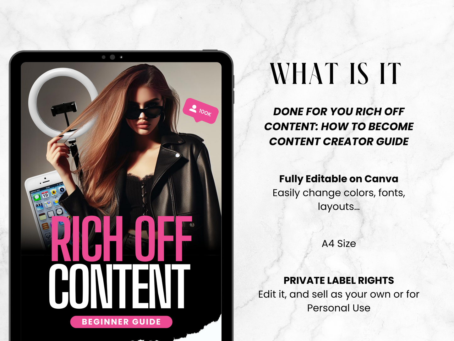 PLR Rich Off Content guide to becoming a content creator Journal