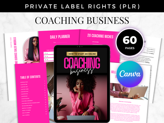 PLR How to start an Online Business Coaching guide