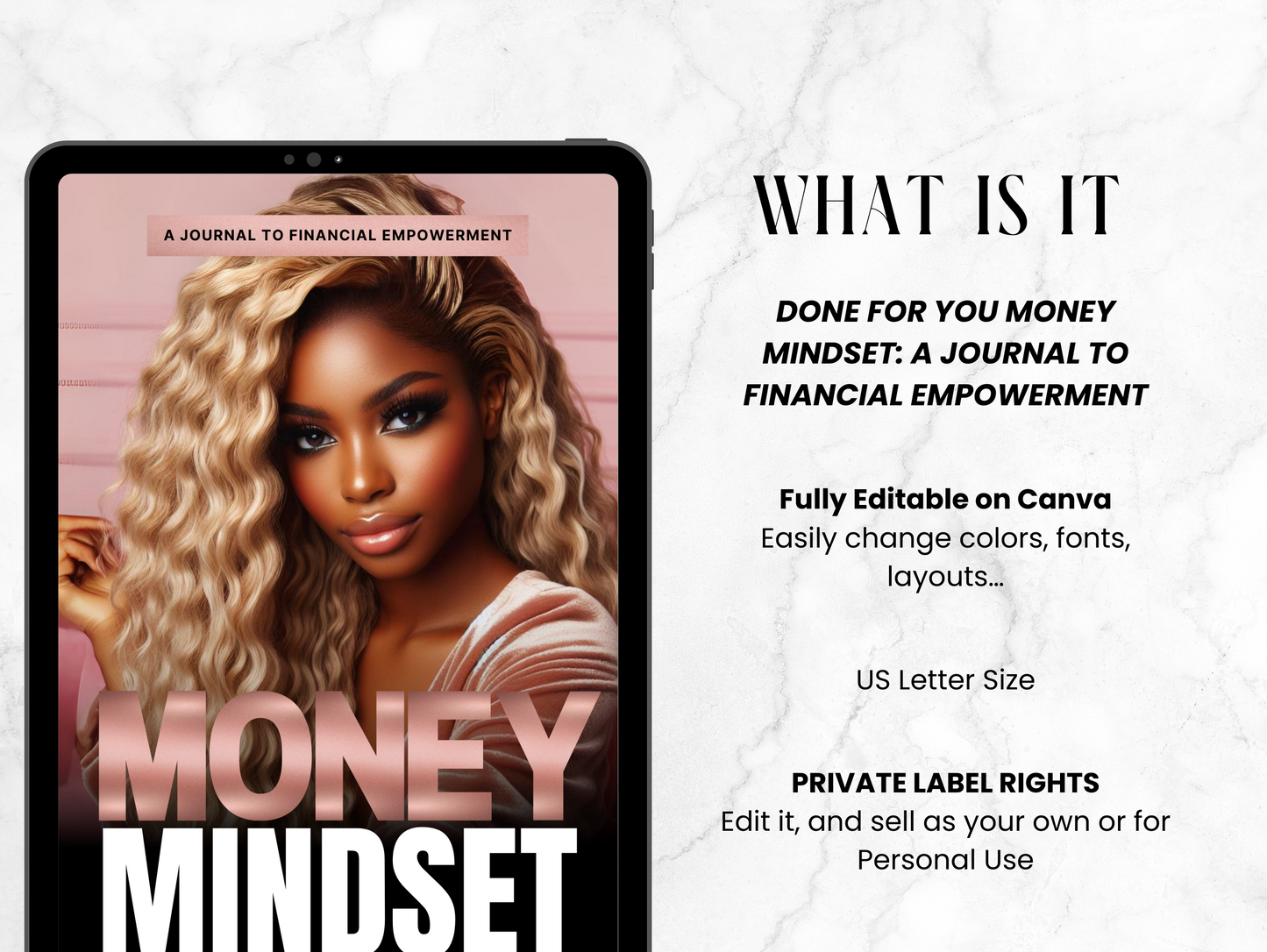 PLR Money Mindset Journal