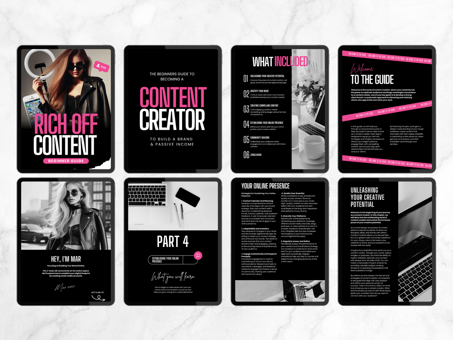 PLR Rich Off Content guide to becoming a content creator Journal