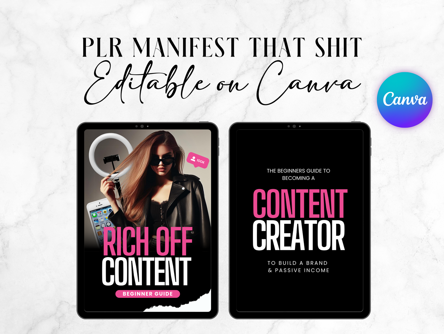 PLR Rich Off Content guide to becoming a content creator Journal