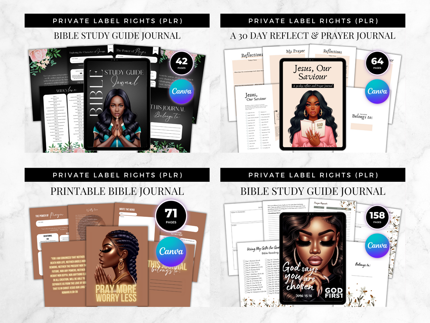 PLR 10 Bible and Prayer Journals Bundle