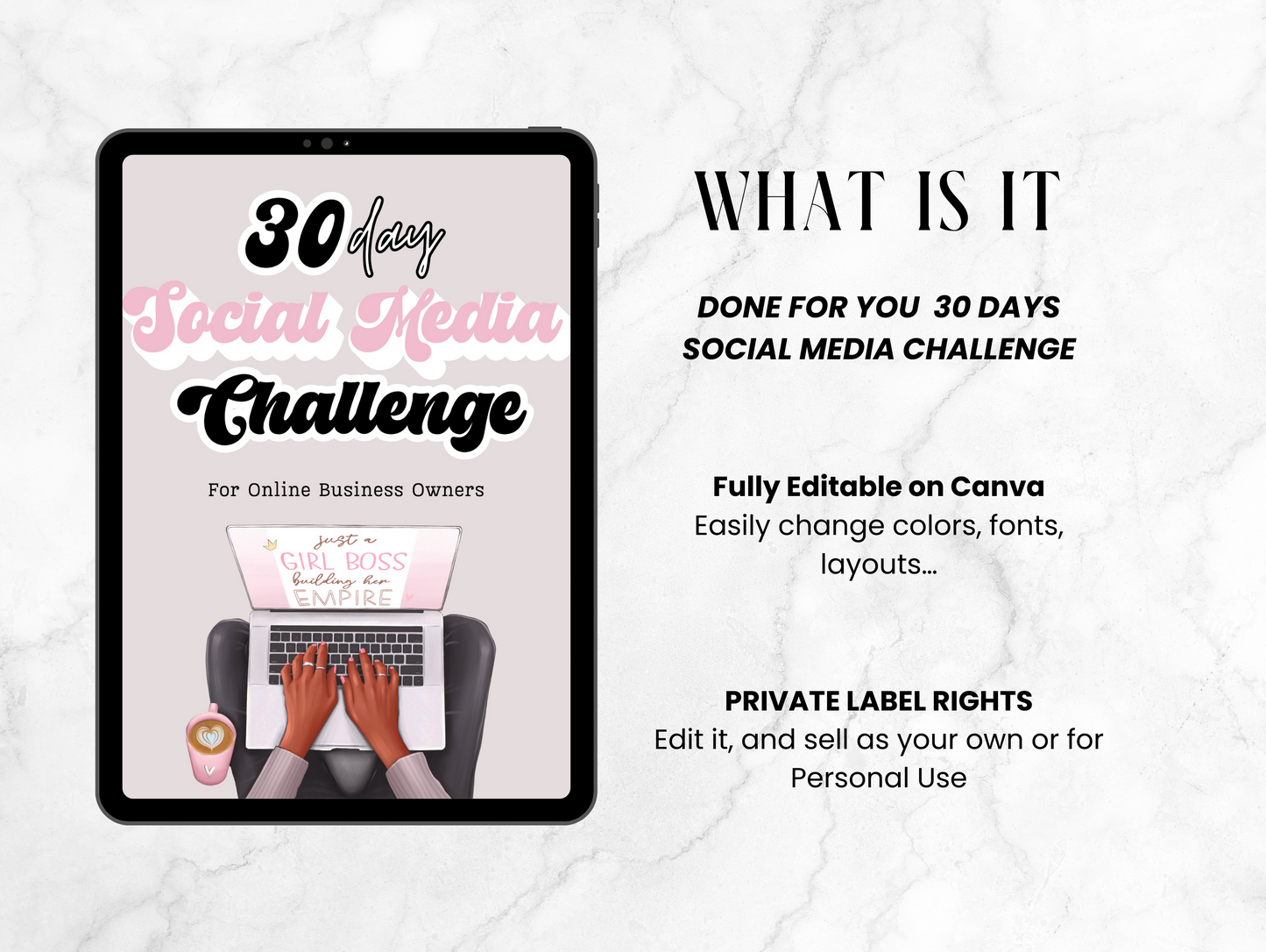PLR 30 Days Social media challenge for online business ebook