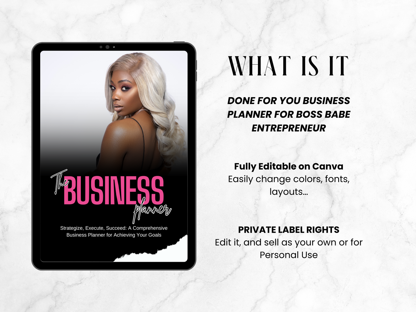 PLR Business Planner black girl entrepreneur