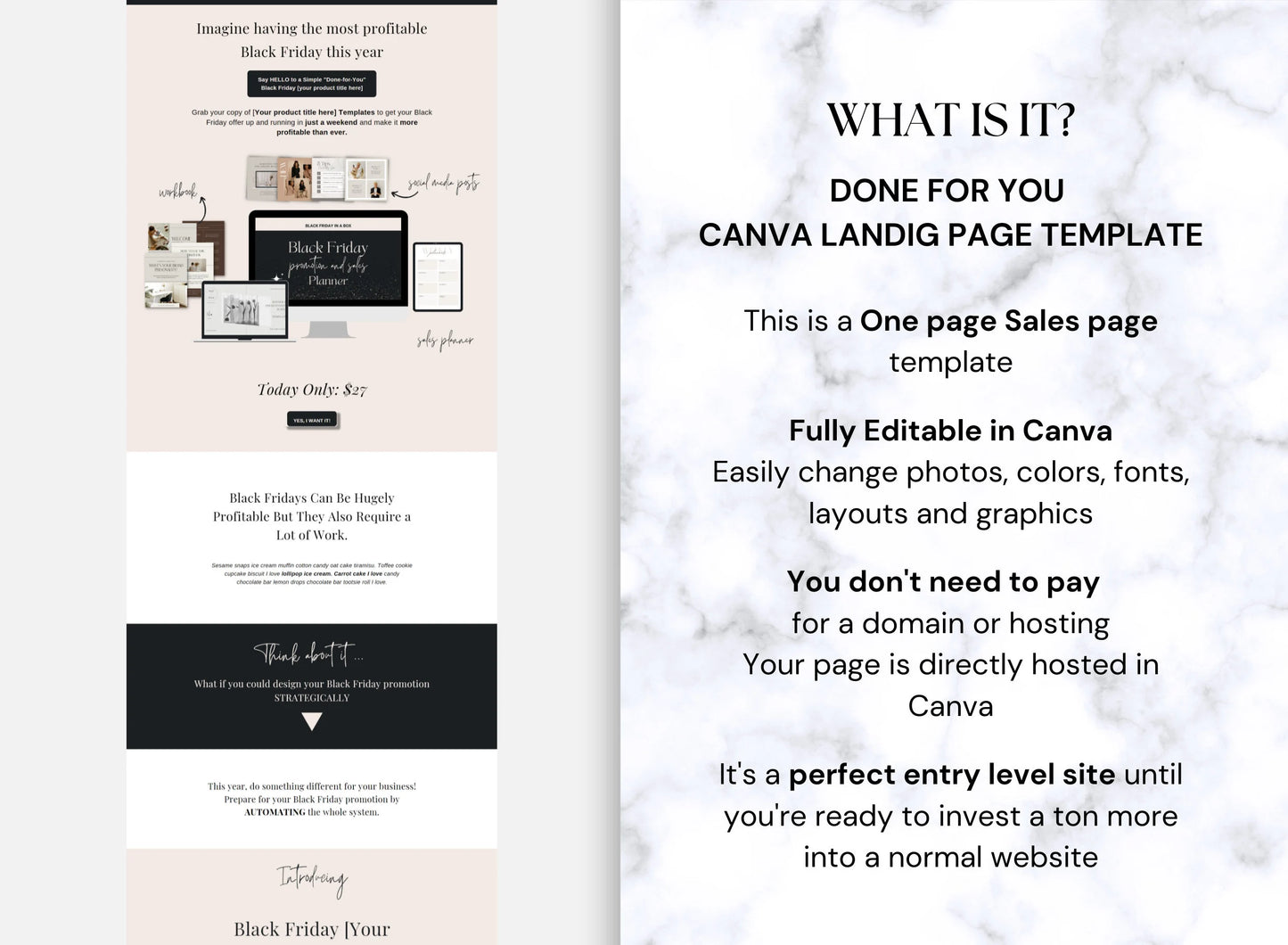 PLR Canva website template special black Friday