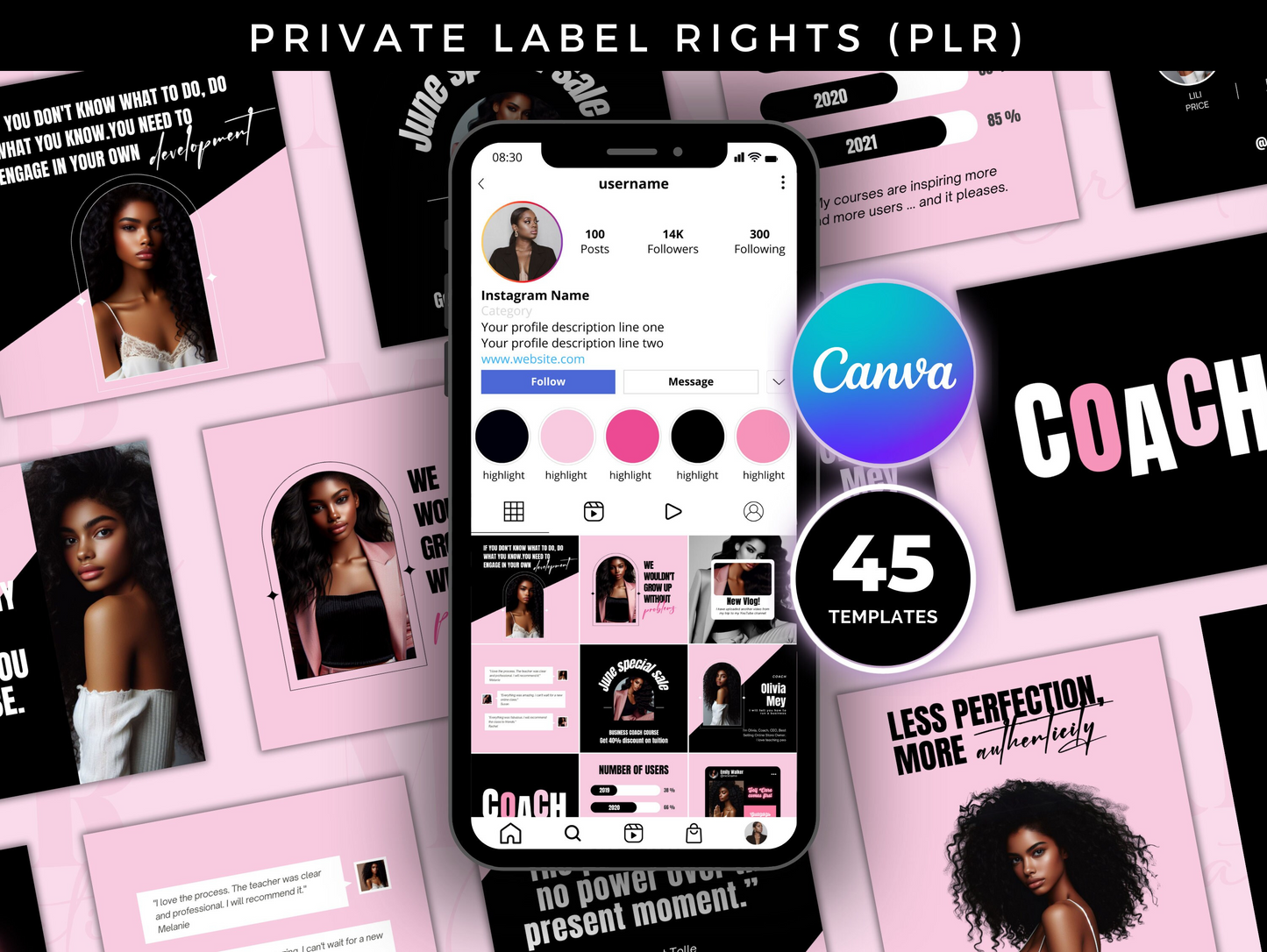 PLR Boss Babe Entrepreneurs Instagram Post Templates Bundle