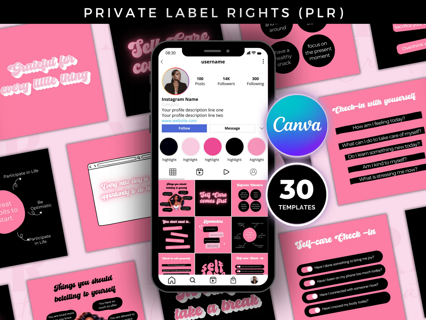 PLR Boss Babe Entrepreneurs Instagram Post Templates Bundle