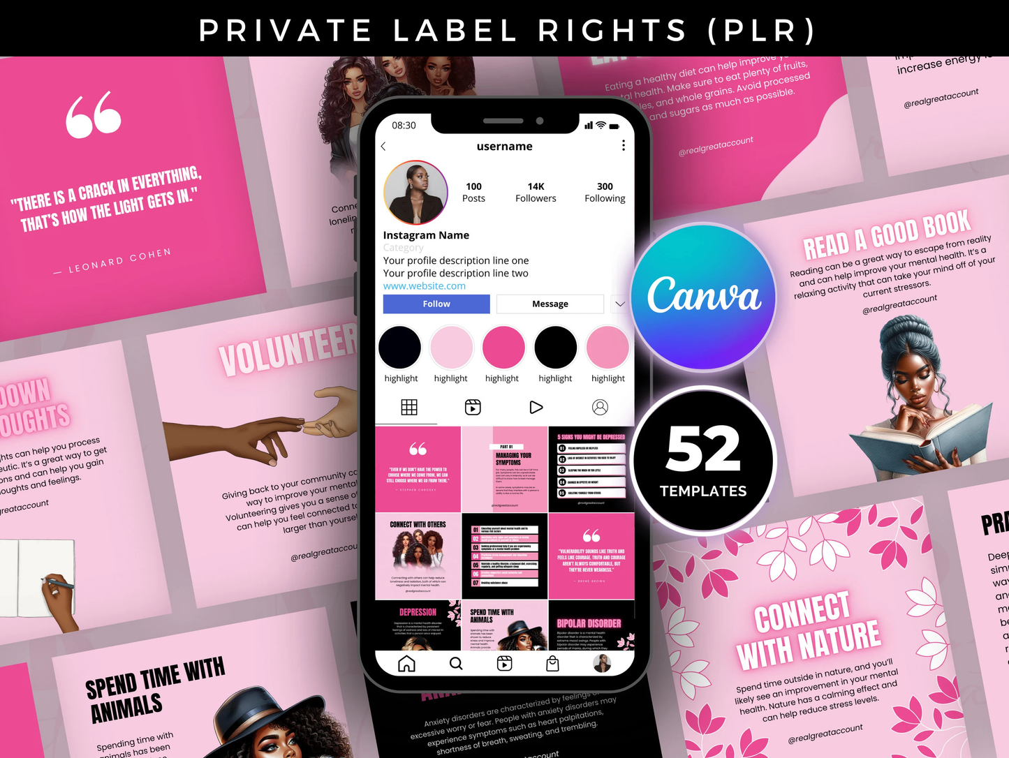 PLR Boss Babe Entrepreneurs Instagram Post Templates Bundle