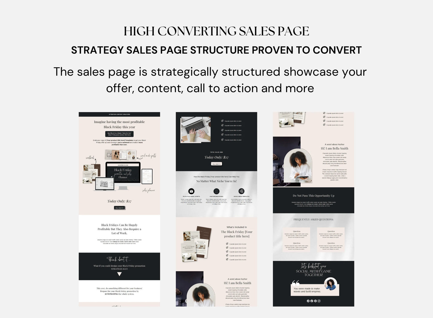 PLR Canva website template special black Friday