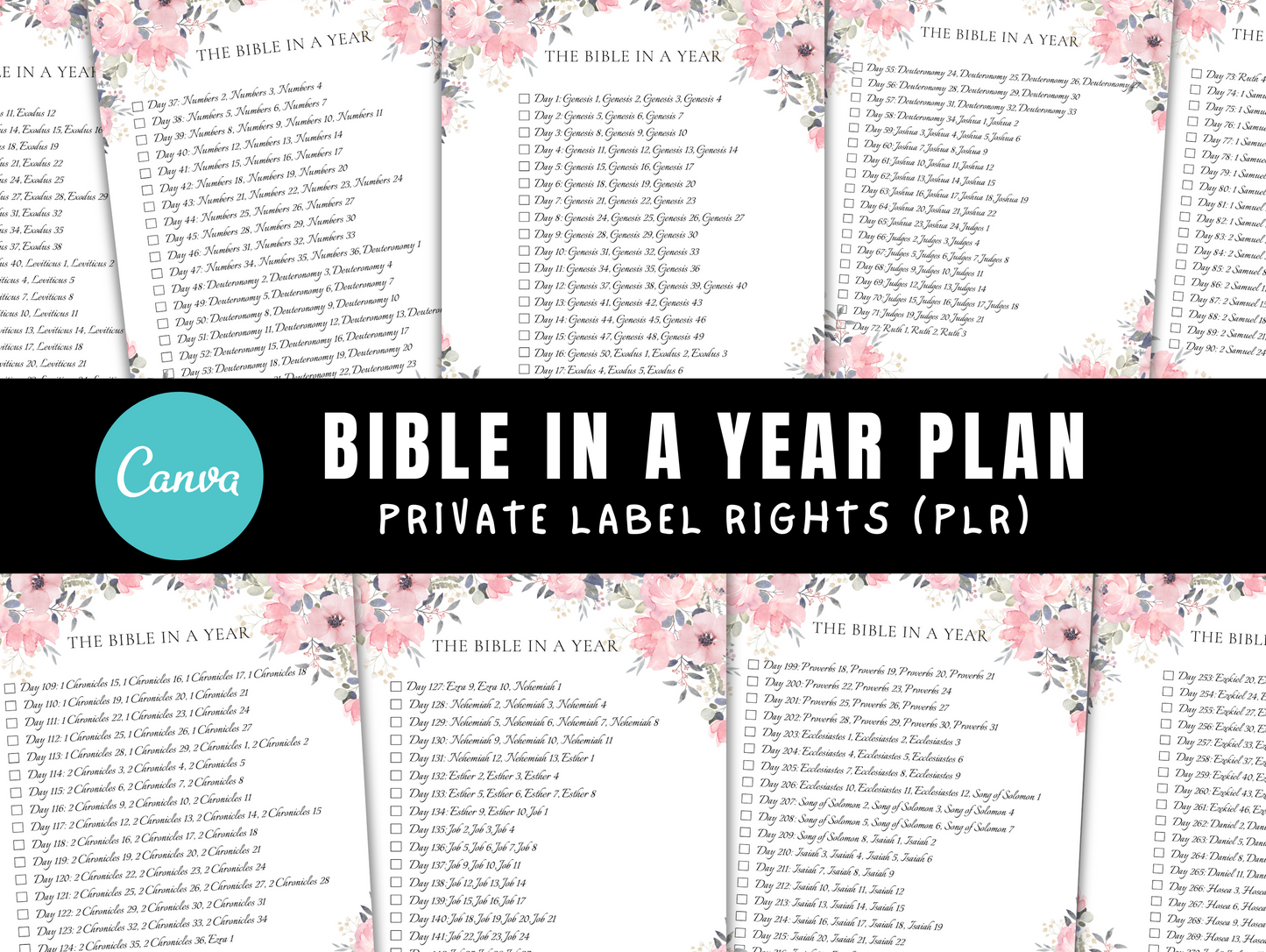 PLR Bible in a Year Reading Plan