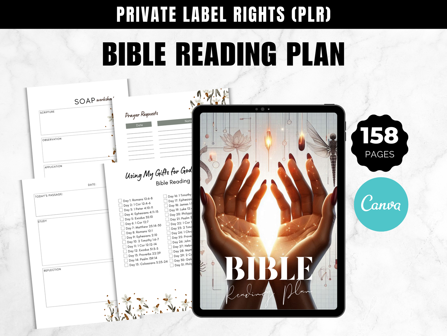 PLR Bible  Reading Plan Journal