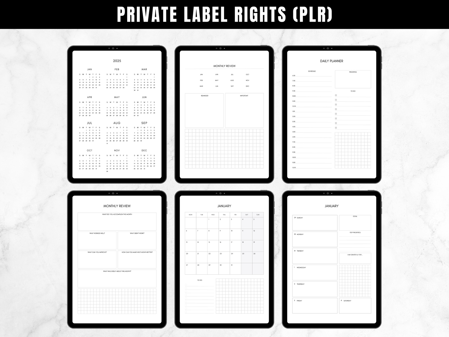 PLR 2025 Digital Planner Portrait