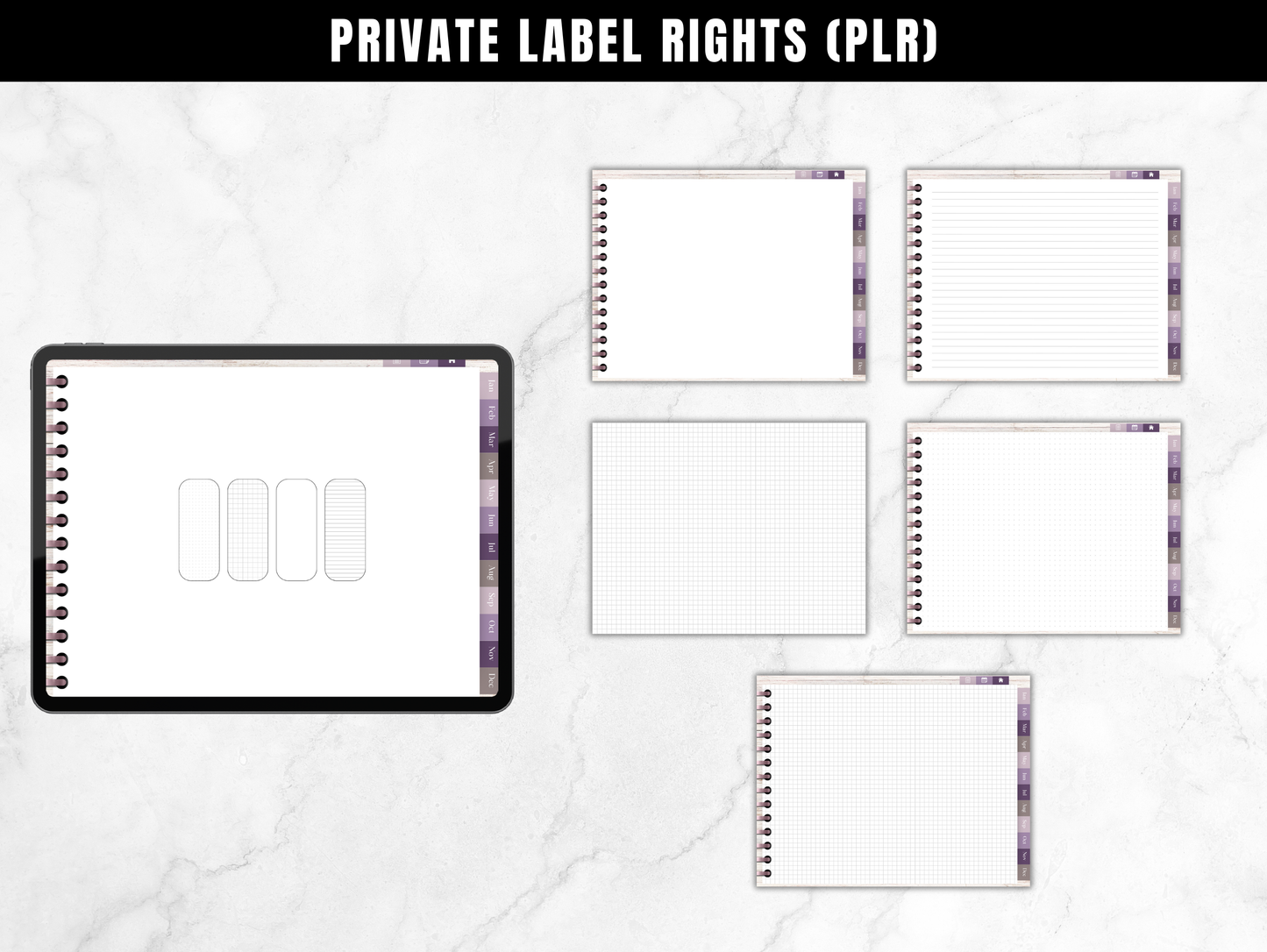 PLR 2025 Digital Planner