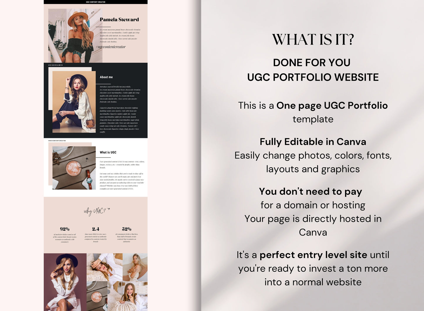 PLR UGC Portfolio Canva Website